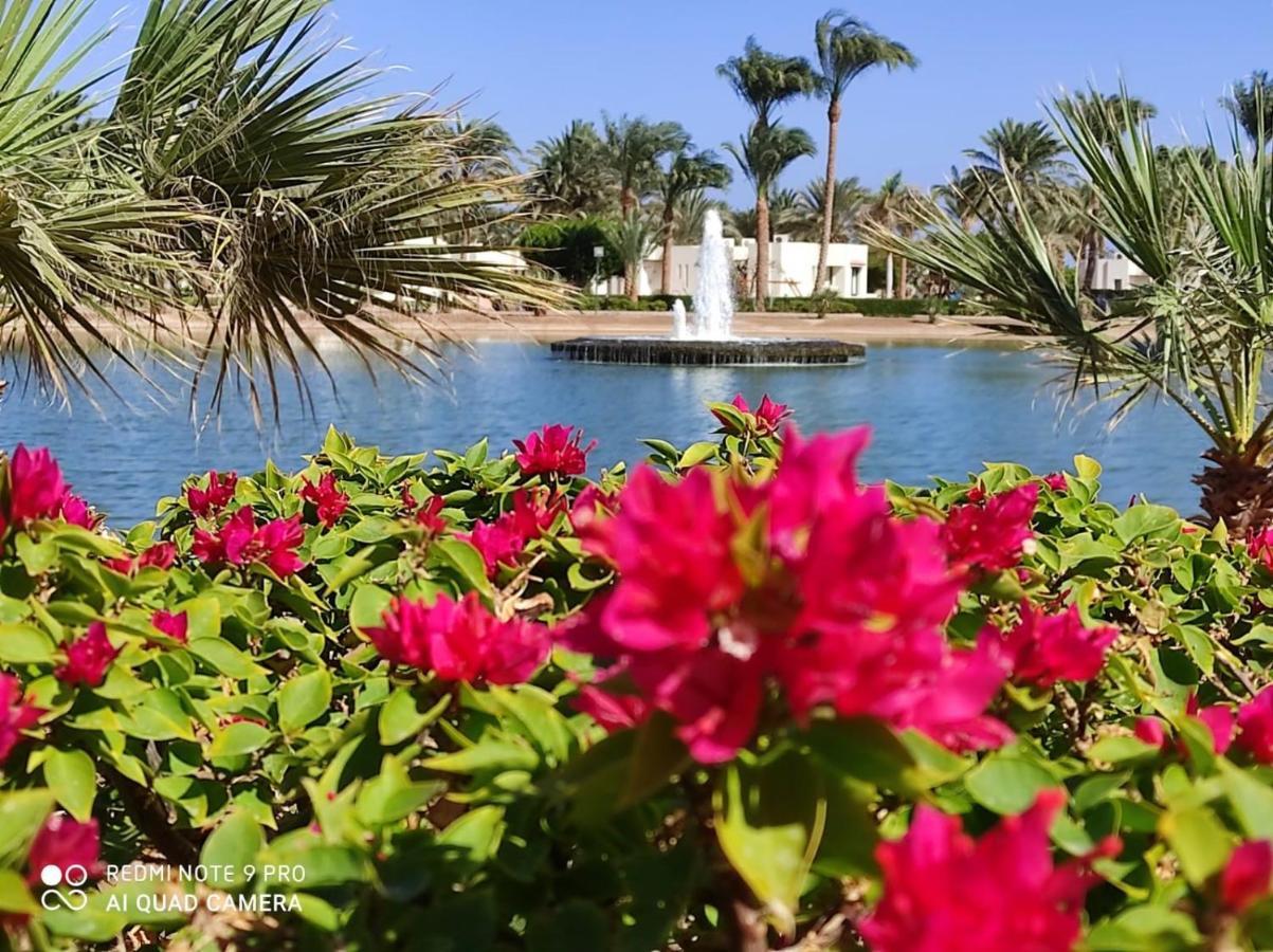 Pharaoh Azur Resort Hurghada Esterno foto